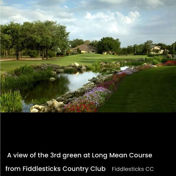 Bermuda Sands Purple Fiddlesticks Golf Polo Size L Wicking Performance Shirt Top - Picture 14 of 16